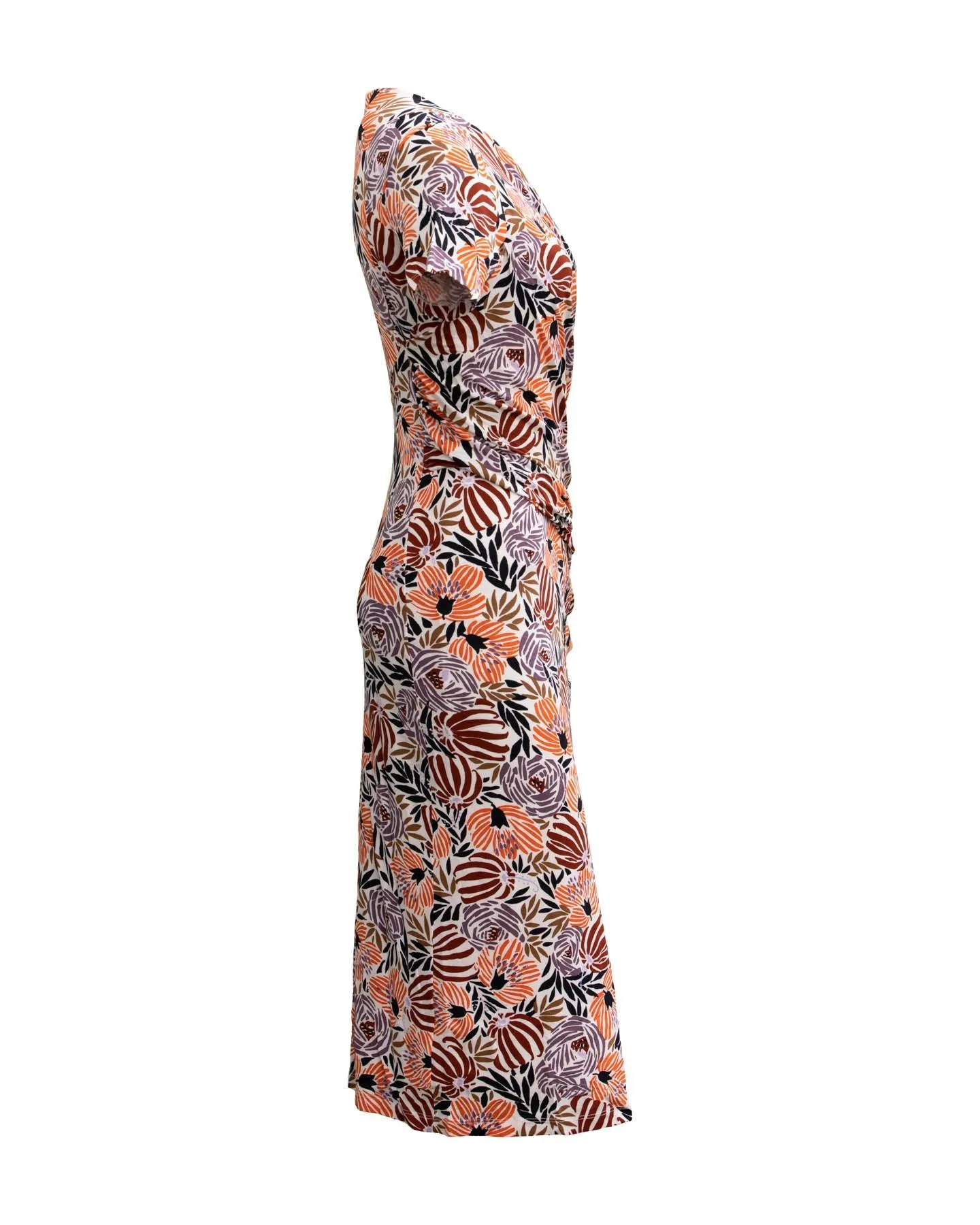 Erykah Print Dress